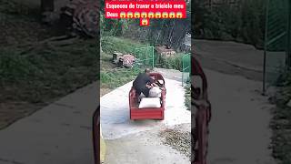 colocando peso no triciclo destravado na ladeira. #caminhão #caminhoneiro