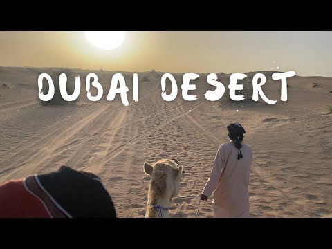 The Dubai Desert Tour - ATVs and Camel Rides