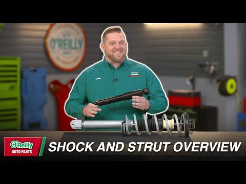 Oreilly Shocks