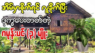 အိမ်မှာစိုက်မိရင် လူခိုက်တတ်တဲ့ ဂမုန်းပင် ၃မျိုး