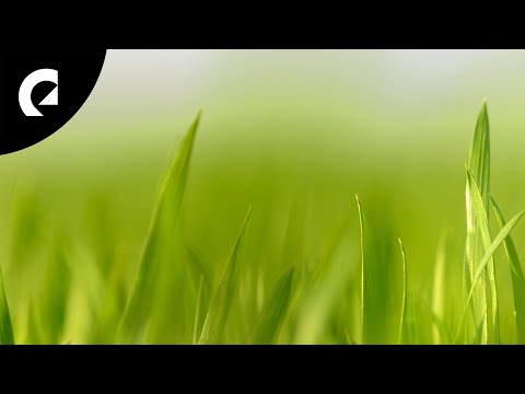 Sum Wave - Evening Mood (Royalty Free Music)