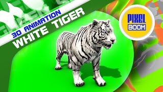 Download lagu Green Screen White Tiger Run Roar Animals - Footage  PixelBoom mp3