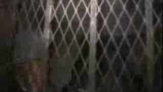 Redman- gilla house check