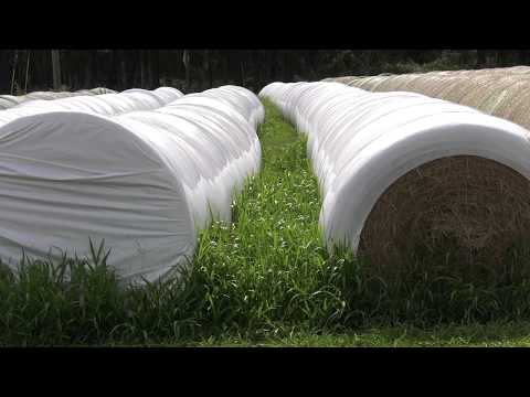 Tips on how to Properly Store Your Hay