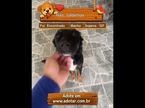 Vídeo de Não sabemos.