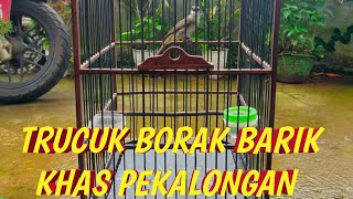 Download lagu trucuk borak barik borok cikrok khas pekalongan mp3