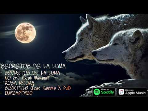 4 KINI (feat. WARMA X PUL) - SIENTELO