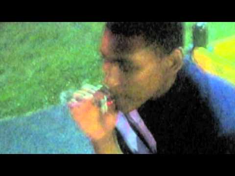 Vietnam- Cooling Blowing PURP