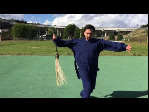 Wudang Fuchen - Chen Yue Long - Chile Wudang