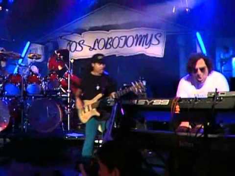 Steve Lukather & Los Lobotomys - Hero With a 1000 Eyes