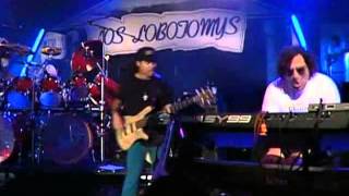 Steve Lukather & Los Lobotomys - Hero With a 1000 Eyes