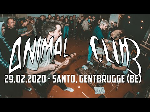 ANIMAL CLUB @ Santo, Gentbrugge (29.02.2020) - FULL SET