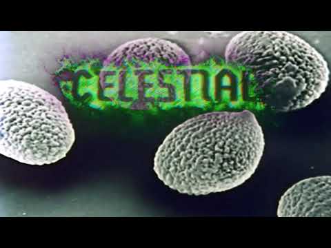 WHARFLURCH - Celestial Mycelium - Official Lyric Video
