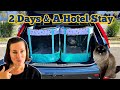 How To Travel With Cats In A Car Long Distance Car Setup With Tents Prep Calming Cats