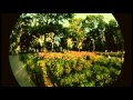 October Project - Always Wanted You (Revelation ...