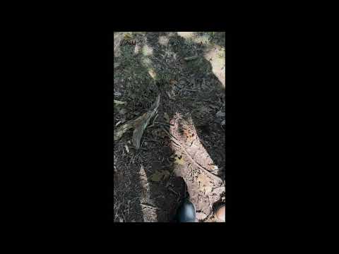 Don't Look in the Dark Don't Look in the Dark - Trailer trailer thumbnail