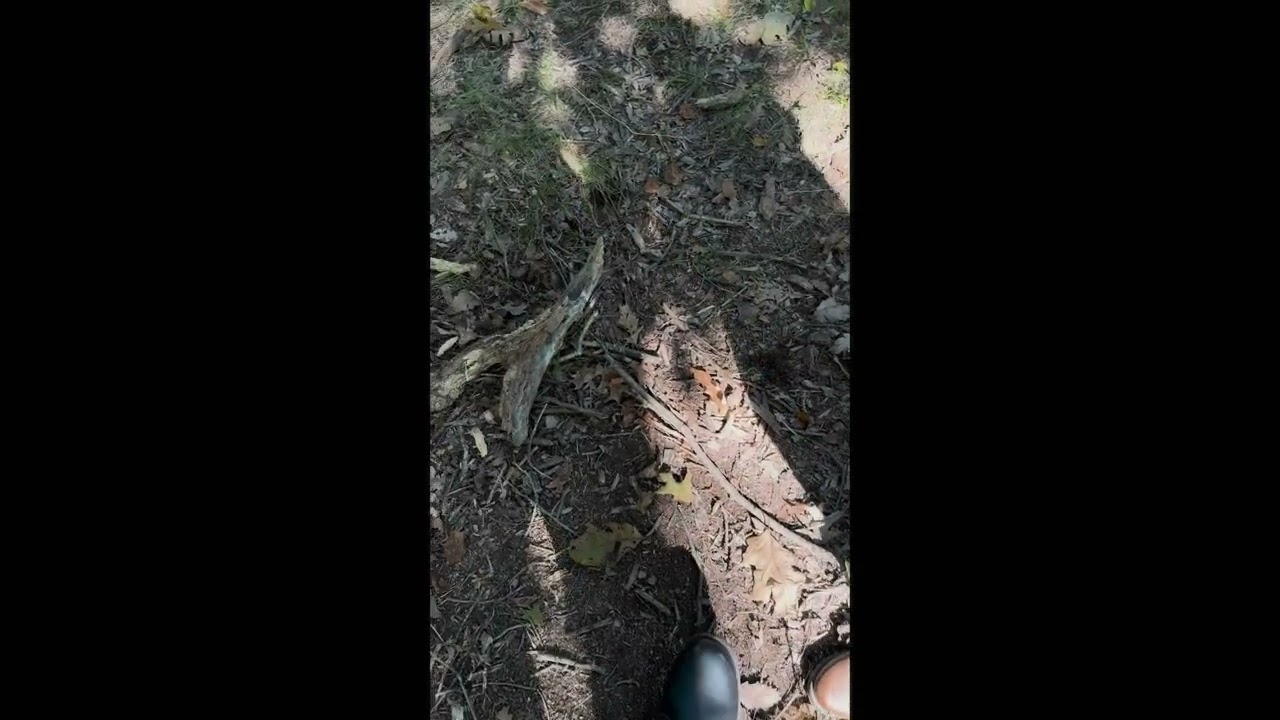 Don't Look in the Dark - Trailer