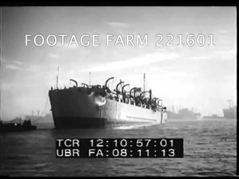 UN Troop in Suez 221601-75.mp4 | Footage Farm