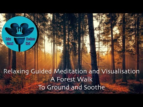 Relaxing Guided Meditation and Visualisation - A Forest Walk to Ground and Soothe #Sleep #Relax