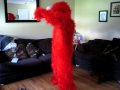Dancing Elmo