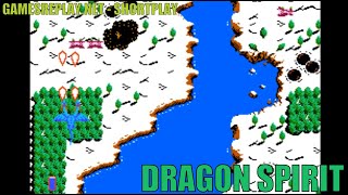 [Nintendo NES] DRAGON SPIRIT (namco)