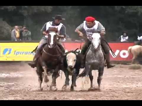 Bagunceiro 24 da Trovador - 1º Lugar Classificatória ao Freio de Ouro de Camaquã 2011