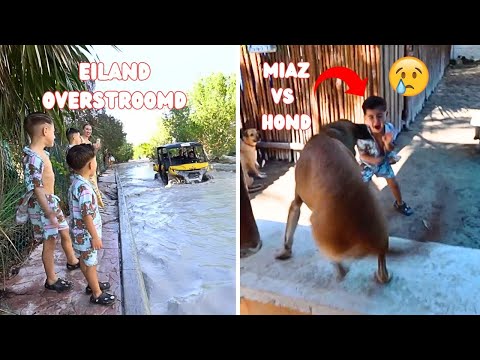 BIG PROBLEMS HERE IN MEXICO & DOG ATTACKS MIAZ | #858
