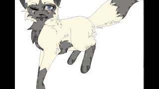 The Heart Wants What It Wants