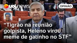 General Augusto Heleno, tigrão em reunião golpista, foi meme de gatinho com Moraes | Sakamoto