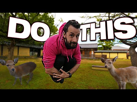 想來日本？先做這個... (Want to Come to Japan? Do THIS First...)