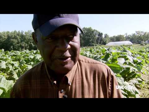 Organic Tobacco Farming | NC Now Short