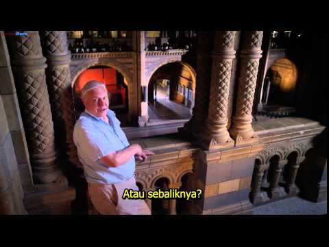 David Attenborough's Natural History Museum Alive with improved graphics!