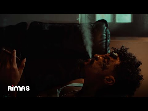 Gigolo - Pobre Diablo (Visualizer) | Santurcinos