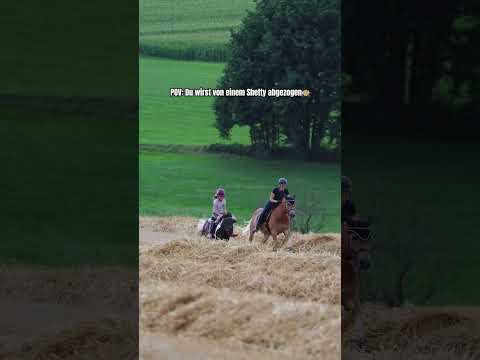 Das Shetty war schneller🙉😂 #pferd #horse #ausreiten #stoppelfeld
