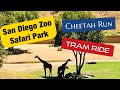 San Diego Zoo Safari Park Tram And Cheetah Run August 2018 FamiLee Travels