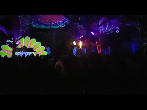 Goa Gil Germany 2018