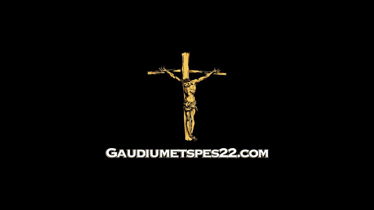 Gavin Ashenden and Larry Chapp on Synodality and the Papacy of Pope Francis