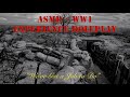 Asmr Remembrance Day Special WW1 Experience Roleplay