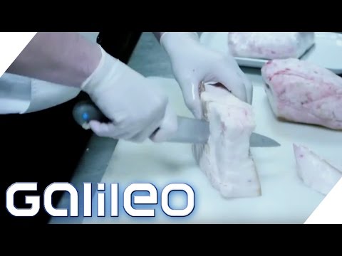 Für Pferde Salbe für Gelenke zu kaufen Zervikale Osteochondrose Ursache für Migräne