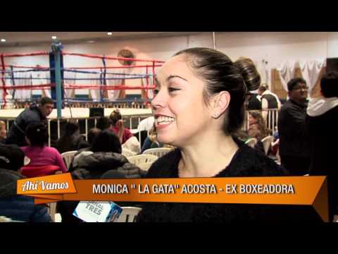 FESTIVAL DE BOXEO