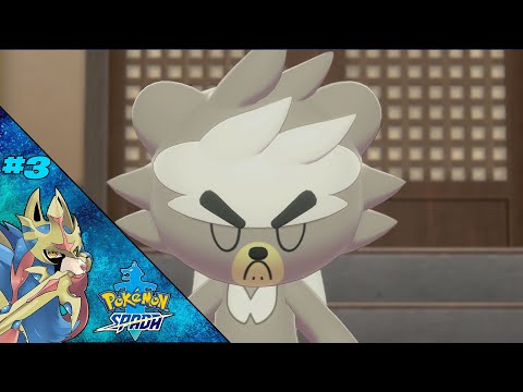 L'ARMATURA OCCULTA DEL DOJO MASTER - Pokemon Spada L'isola solitaria dell'Armatura ep 3