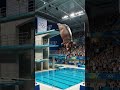 Fearless hippo does a high dive and gets the crowd wet!! #flyinghippo #diving #bigsplash