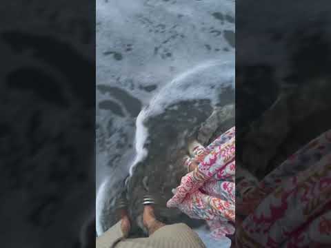 ❤️ #love #youtubeshorts #shortsfeed #viral #viralshorts #travel #couple #beautiful #beach #deepisha