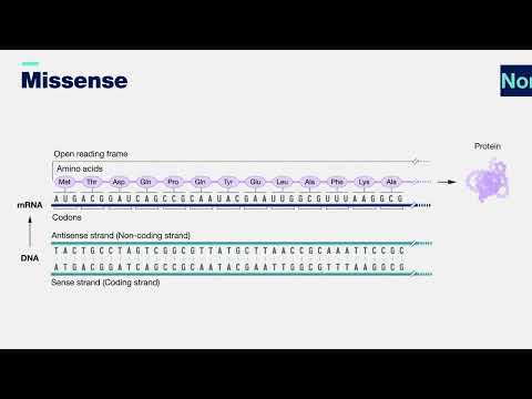 Missense mutation 3-D