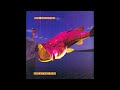 The Radiators – Sparkplug