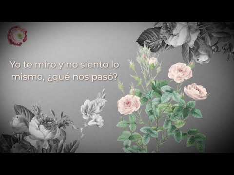Lala Moré - No Quiero (Lyric Video)