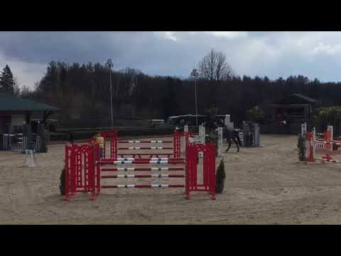 DOMINO (9yo Obos Quality) 04.2021 Wipperfürth - 2. Platz SPR M* 130 cm