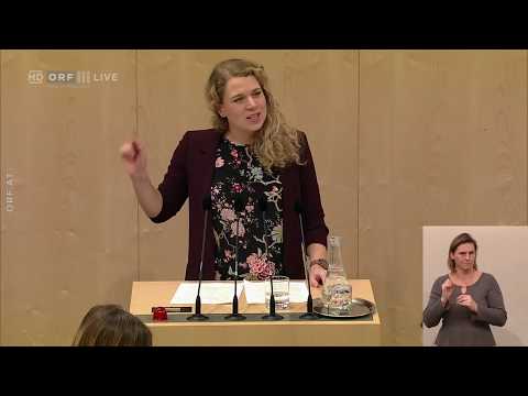 Nationalratsrede vom 30. 01. 2019