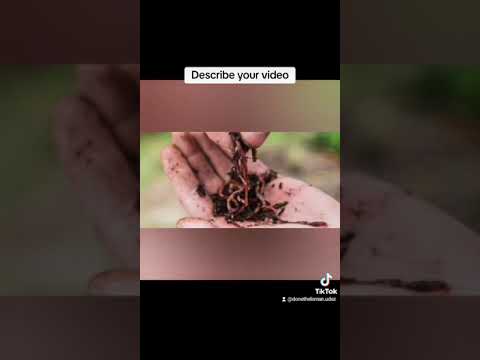 The code red worms..very dangerous worms