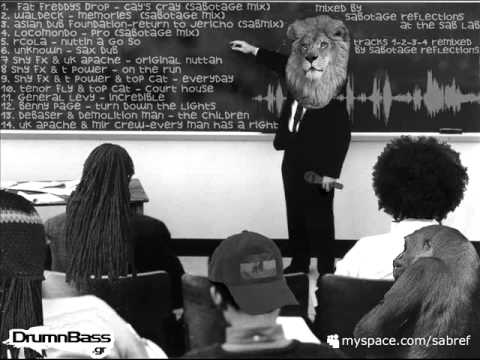 Sabotage Reflections vs Waldeck - Memories (dnb sab mix)